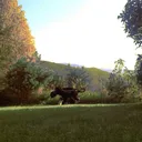 nobelle1