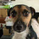 andrewohara-1171566202682867794