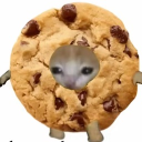 .qmiller#7285's avatar