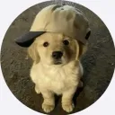 vamixee