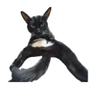 deeaaner