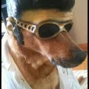 fedosleee
