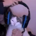 noadepecan
