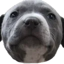 mrrag3r
