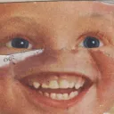 outrageous_piglet_56109