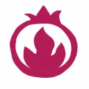 dsolver