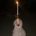 komoodoo