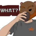 ichipk