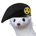 stoatfatherthierno