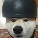 MOLI