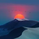 dss0