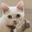 https://cdn.discordapp.com/avatars/284072019308576768/5f120e8519d2ed7e8835e451adaf59e5.jpg?size=128