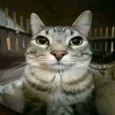Lenzy