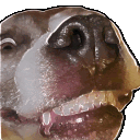 wagnus