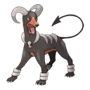 grayjp