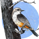 kafka0n7he5hore#9135's avatar