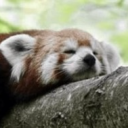 ostsmith#0396's avatar