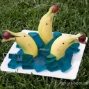 petrichorcrown