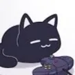 pillowyzeal