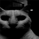 avatar Brother Doro-Arc