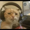 kaktussxd