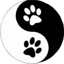 fafoon