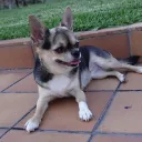 raxell94