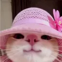 mockerii