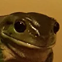 ponchato