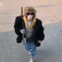 bm_monkeybusiness