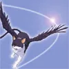 winged_cat