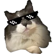 callmezyos