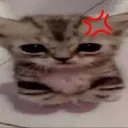 fiurk