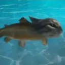 mike_7668