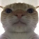 lenzmix