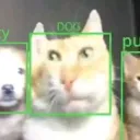 ytr_