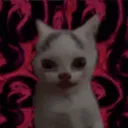 joebamaprism