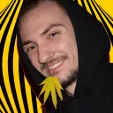 cannabisinsight