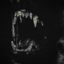 its_drz