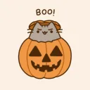 ✨ SJJANG ✨'s Avatar