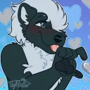 velvetskunk