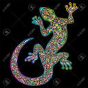 Geko81
