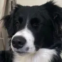 ykvki