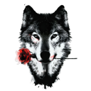 darkwolf6116