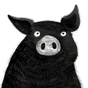 theshypig