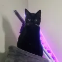ruzxv