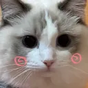 immeihua