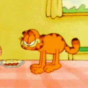 hntr_