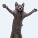 softpest
