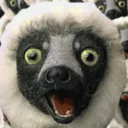 thedemonkingdan